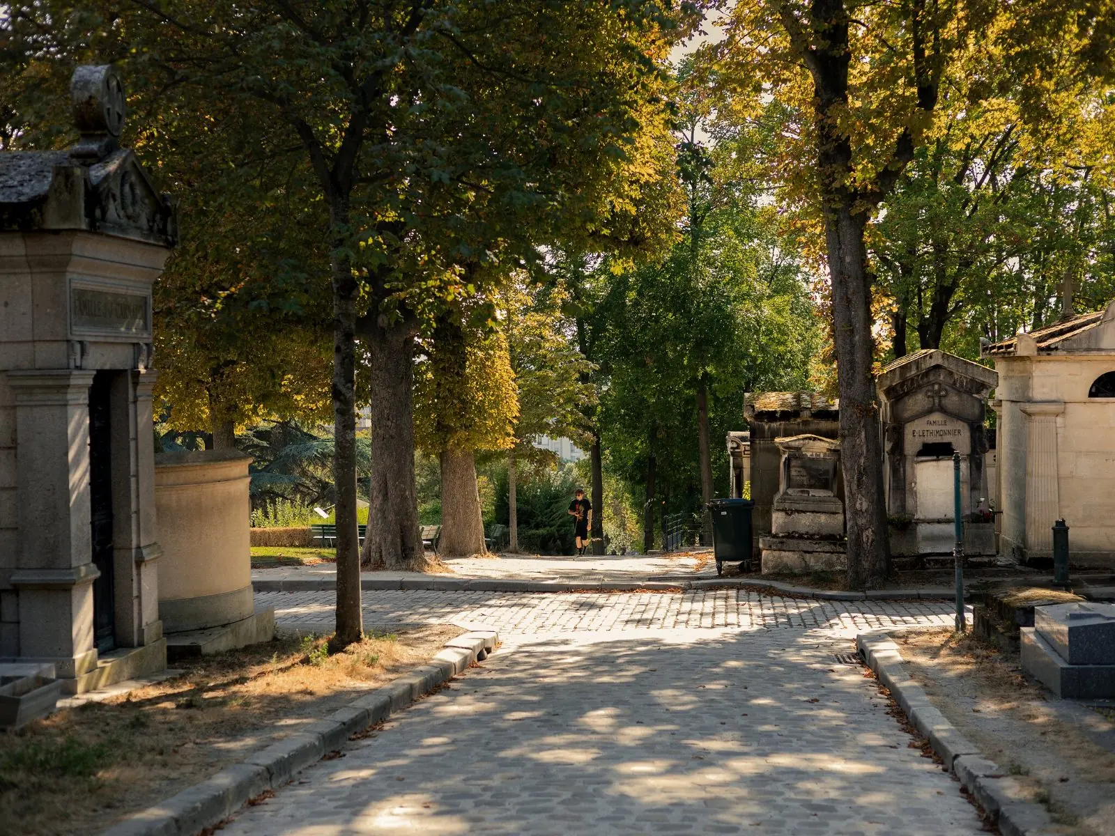 A cobbled avenue at Père Lachaise lined with chestnut trees and 19th-century family chapels